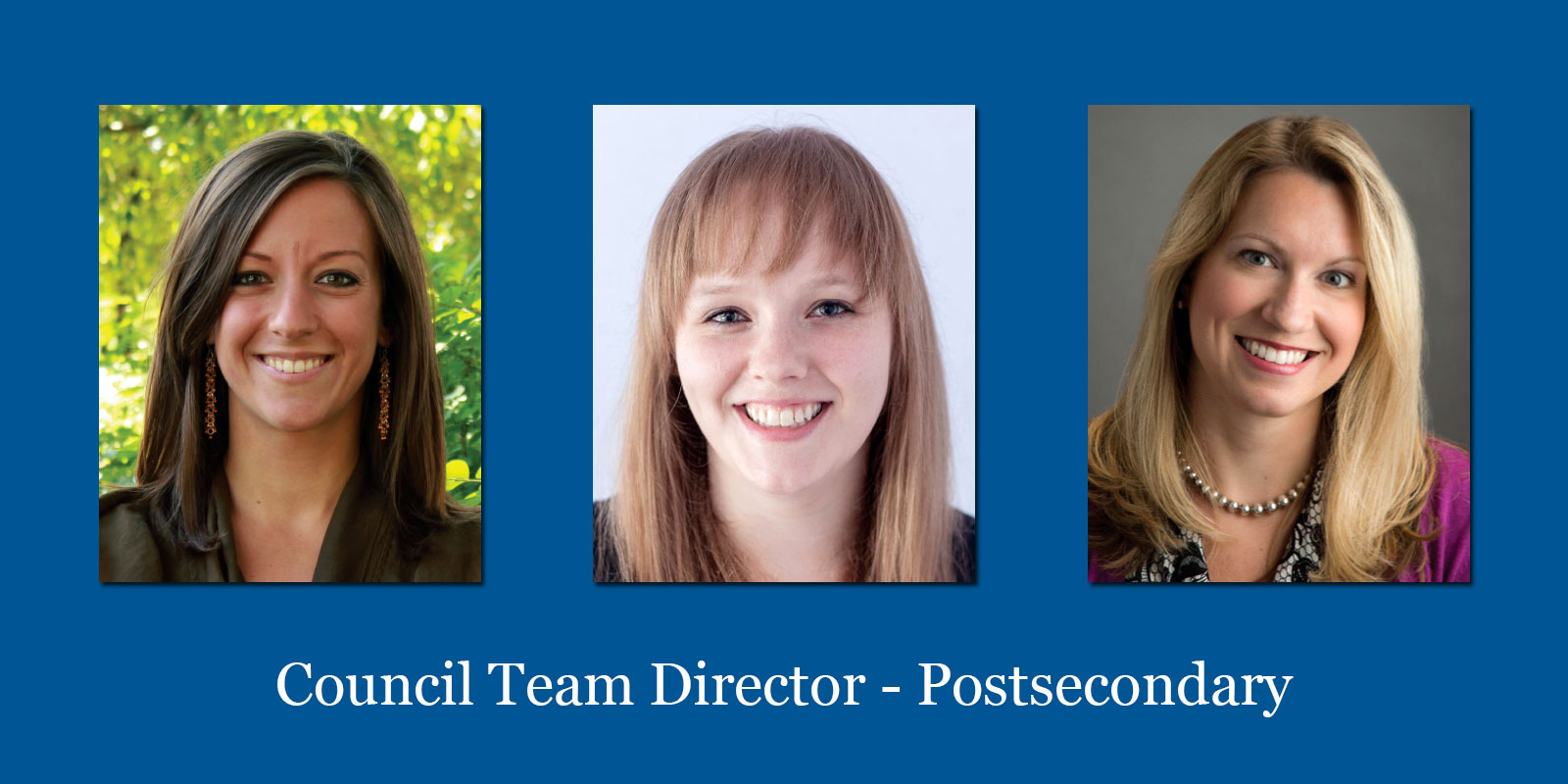 Candidates For Council Team Director Postsecondary