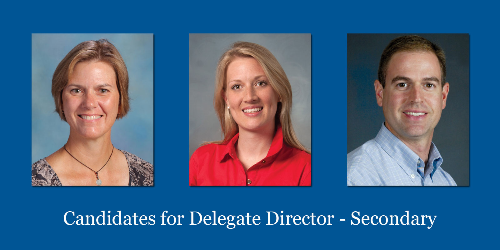 Candidates For Delegate Director – Secondary 2015-2016