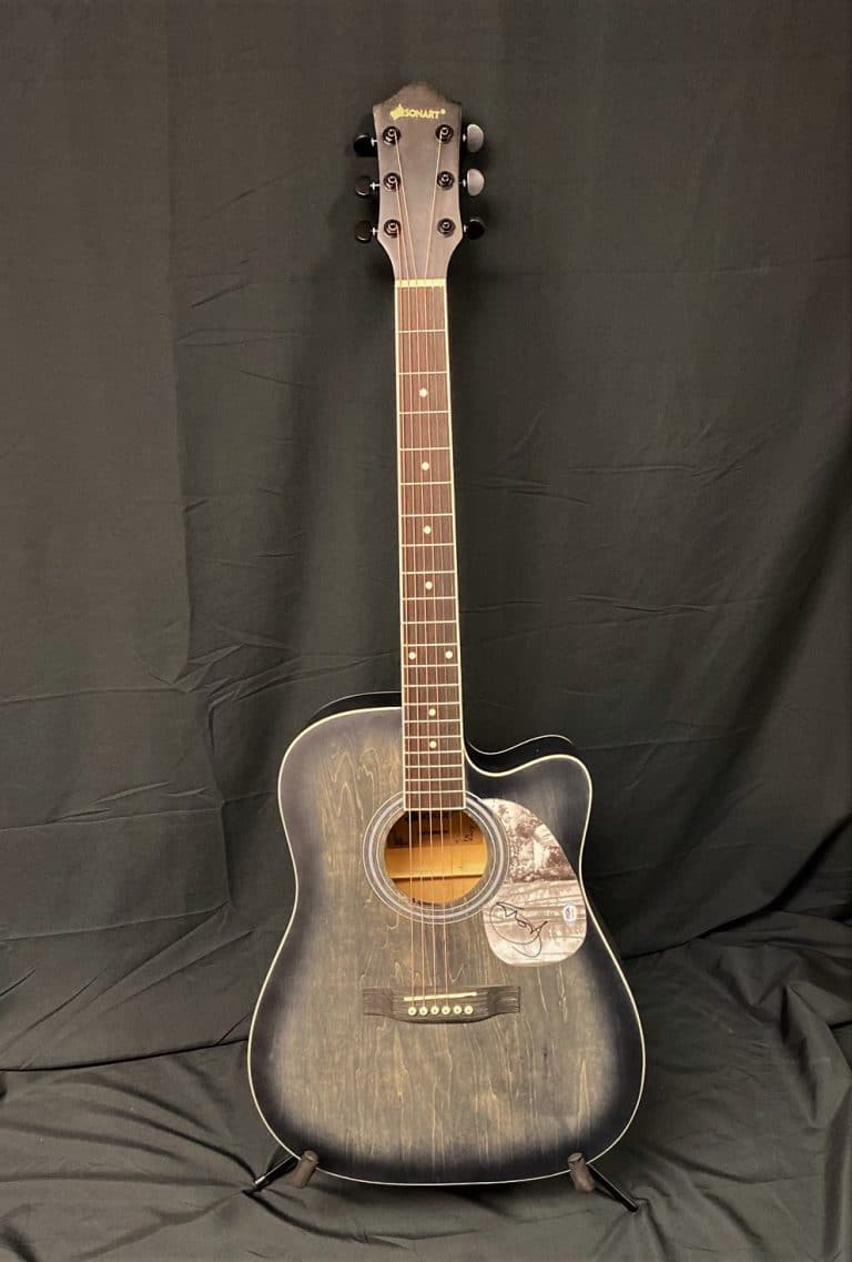 Guitar