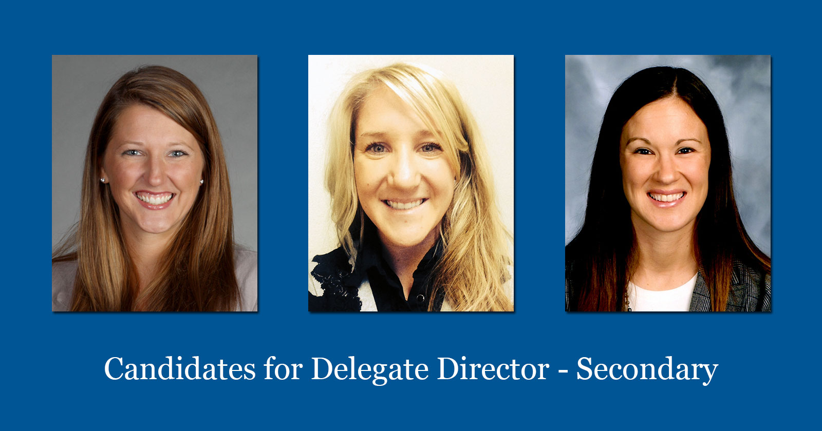 Candidates For Delegate Director Secondary 2016