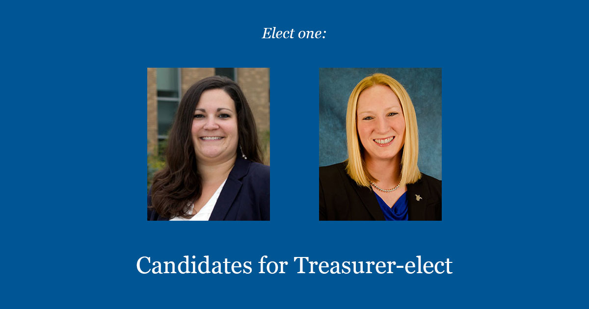 Candidates For Treasurer-elect 2017