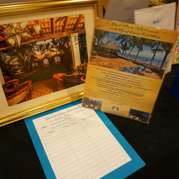 Conference Silent Auction 2019 1